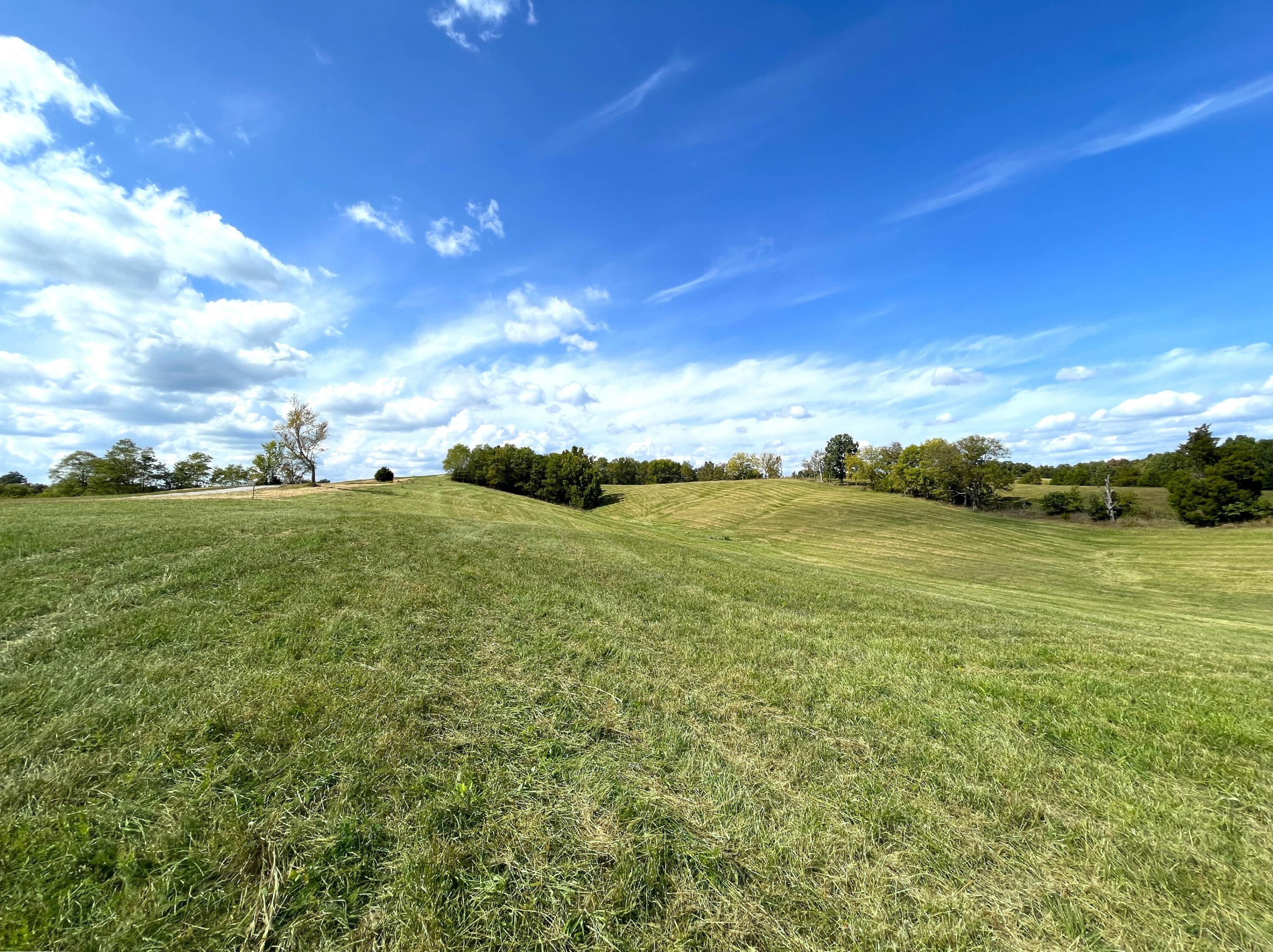 3 Corinth Road Corinth, KY 41010 - Photo 6 of 14 Gallery Image 6