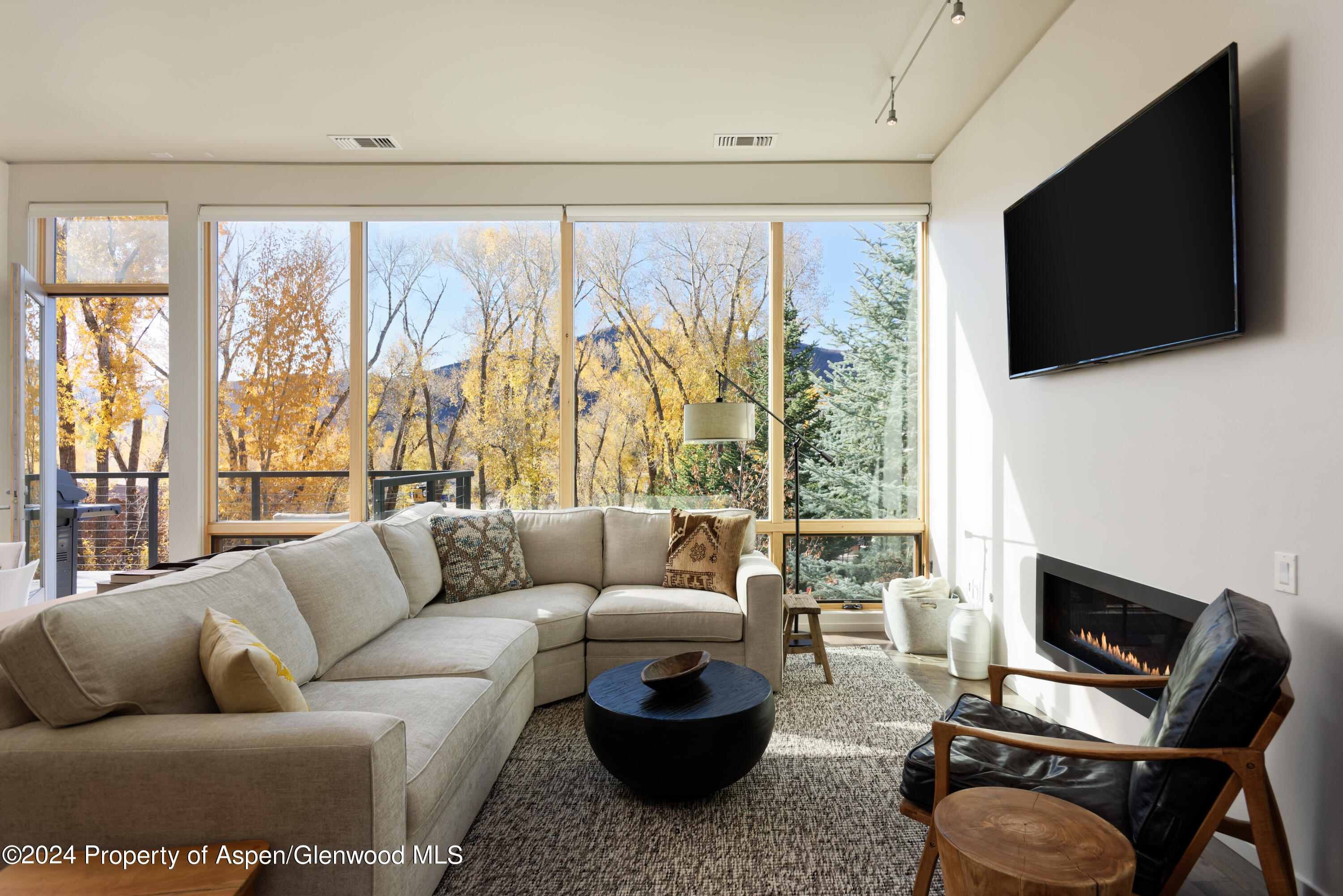 202 Evans Road, Unit 204 Basalt, CO 81621 - Photo 2 of 11 a living room with furniture a flat screen tv and a floor to ceiling window