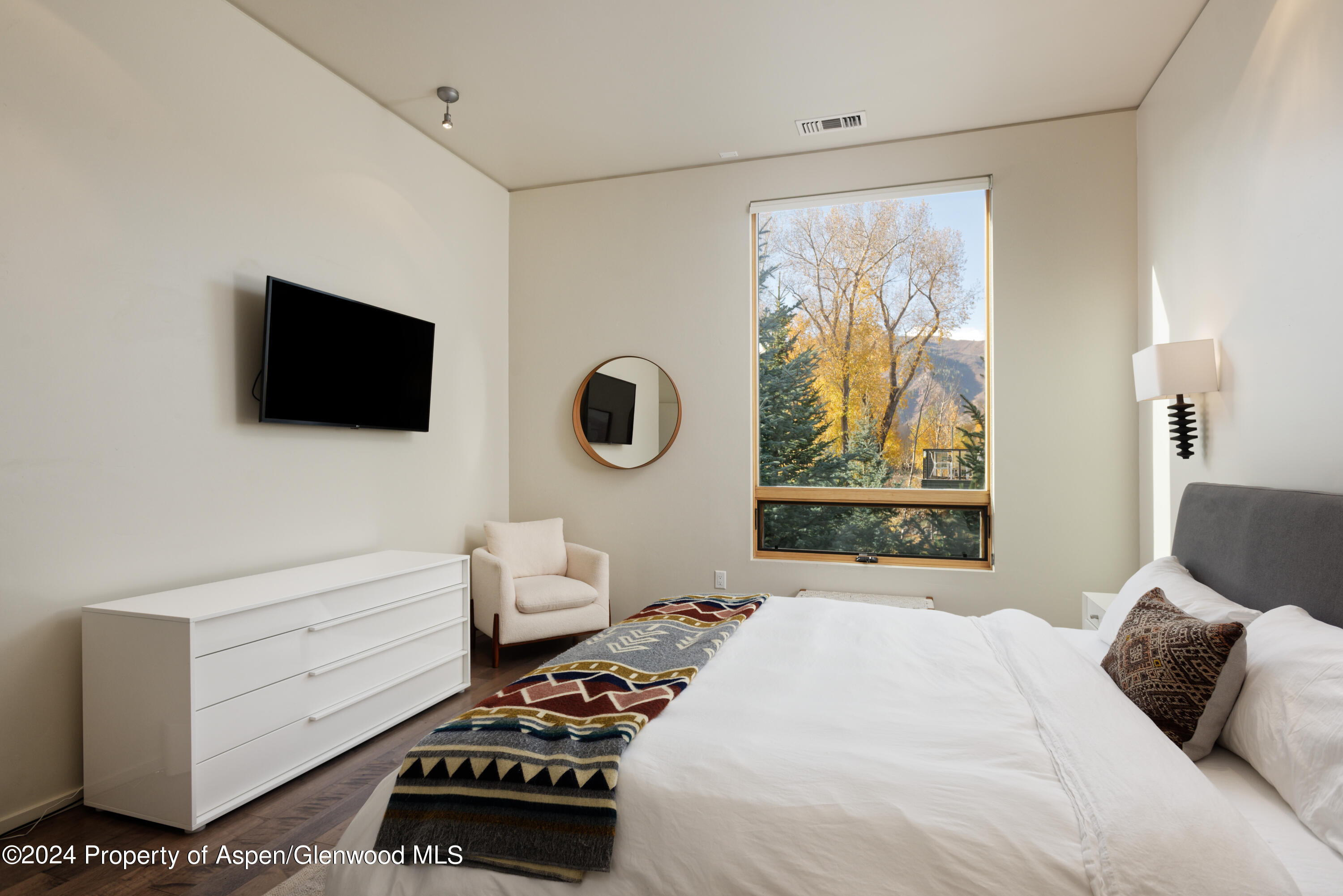 202 Evans Road, Unit 204 Basalt, CO 81621 - Photo 7 of 11 a bedroom with a bed and a flat screen tv