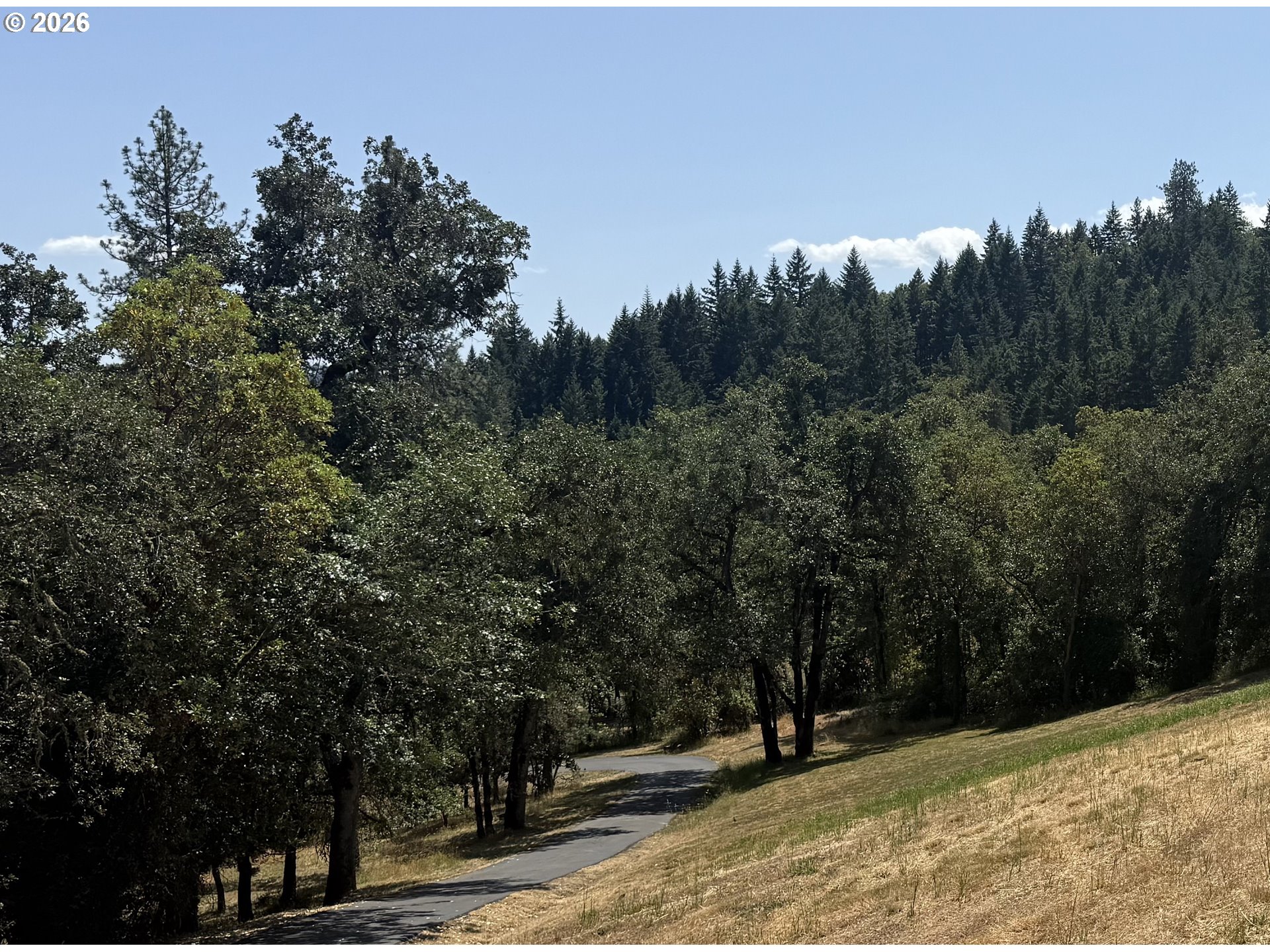 0 Melrose Road Roseburg, OR 97471 - Photo 4 of 4 a view of outdoor space with trees