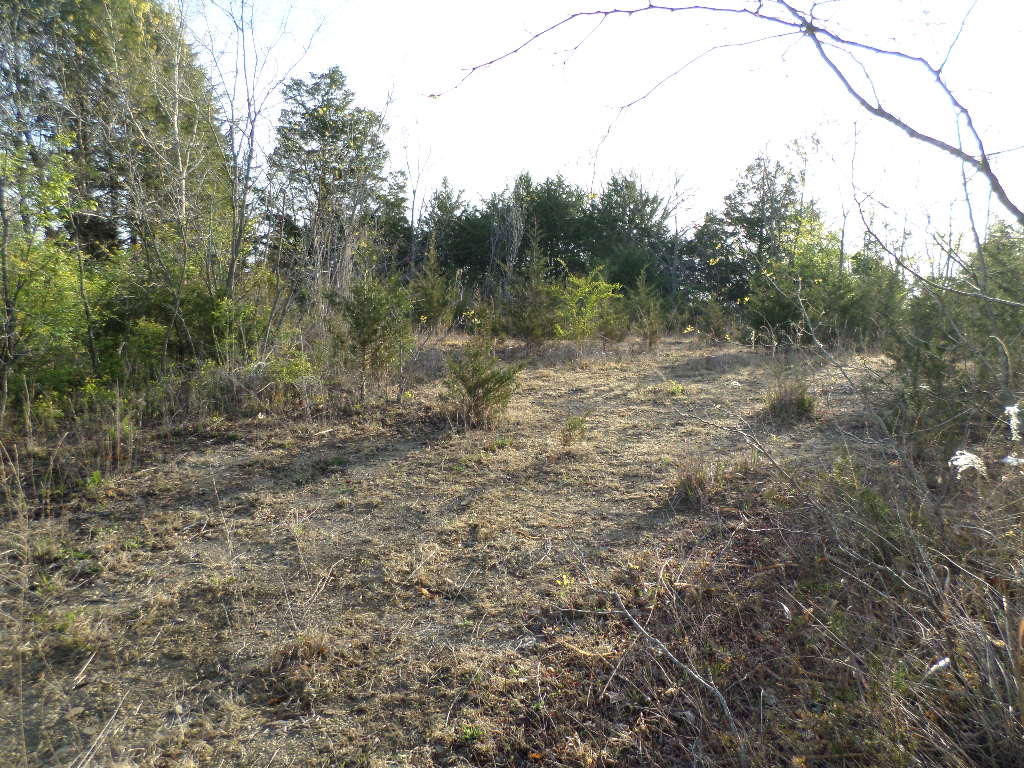 4.07-ac Jim Henry Road Dandridge, TN 37725 - Photo 4 of 6 SAM_2772