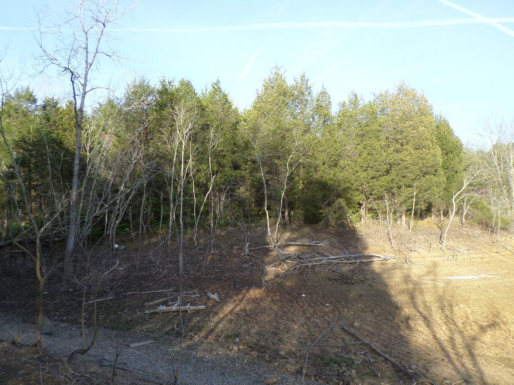 4.07-ac Jim Henry Road Dandridge, TN 37725 - Photo 6 of 6 SAM_2774