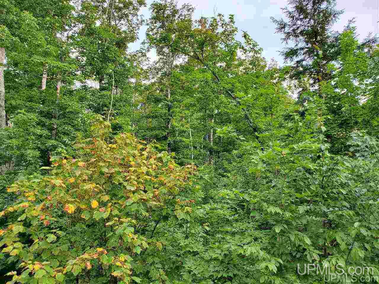 Tbd Tbd Holyoak Negaunee, MI 49866 - Photo 8 of 10