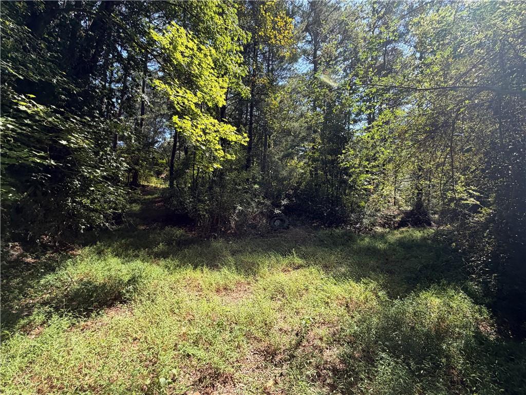 761 Roscoe Collette Road Dawsonville, GA 30534 - Photo 18 of 20 Gallery Image 18