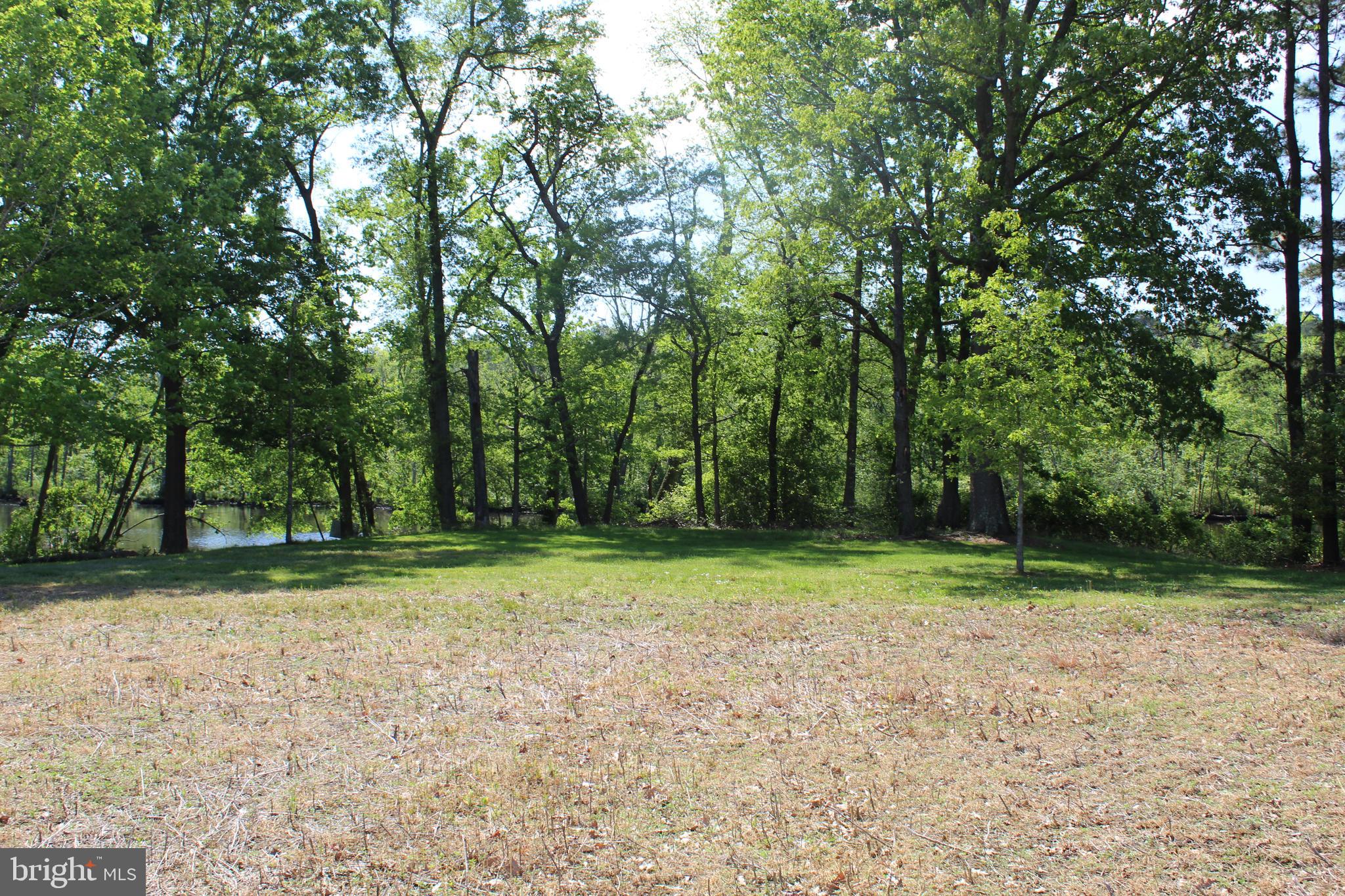 Height Road Cambridge, MD 21613 - Photo 11 of 12 Gallery Image 11