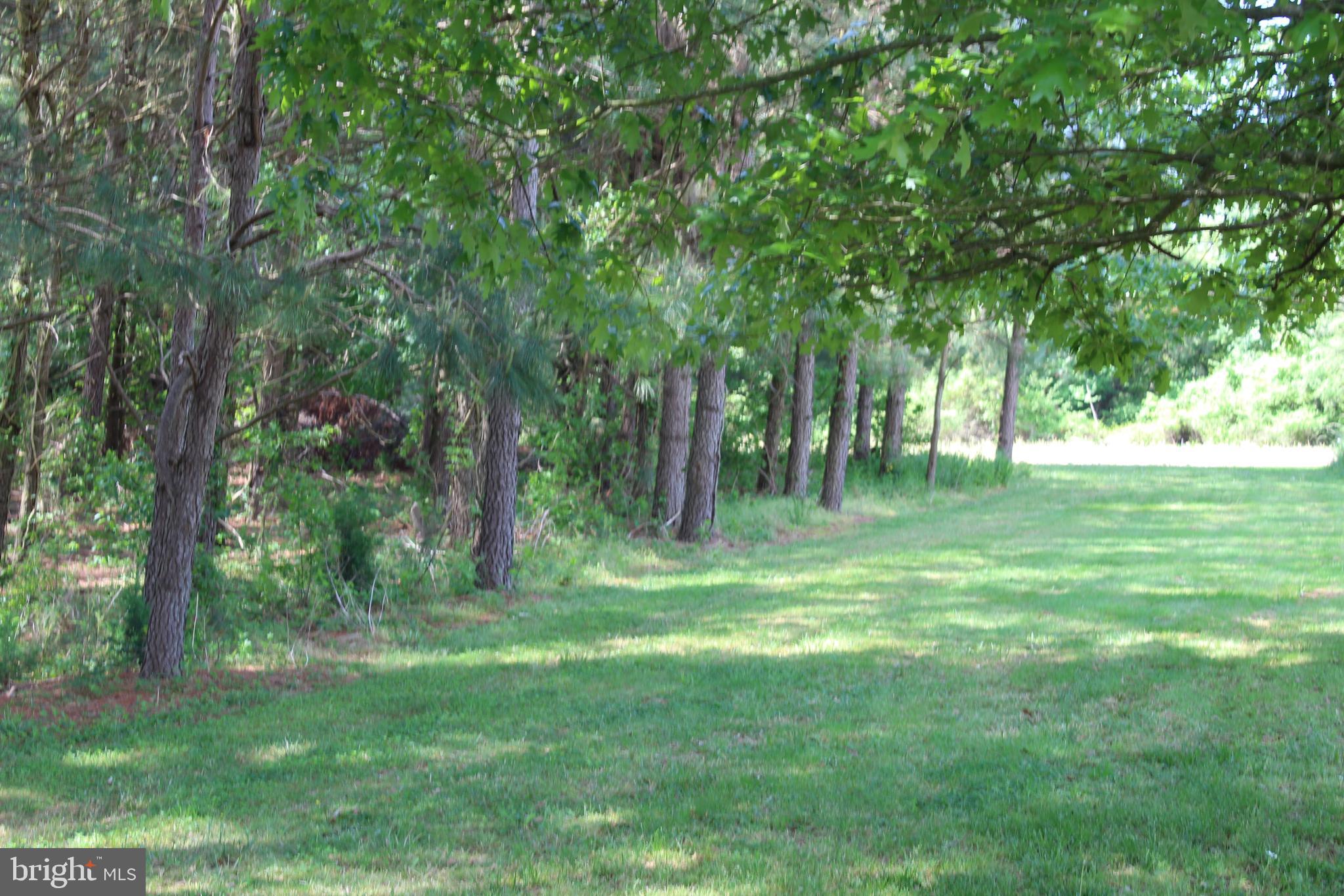 Height Road Cambridge, MD 21613 - Photo 4 of 12 Gallery Image 4