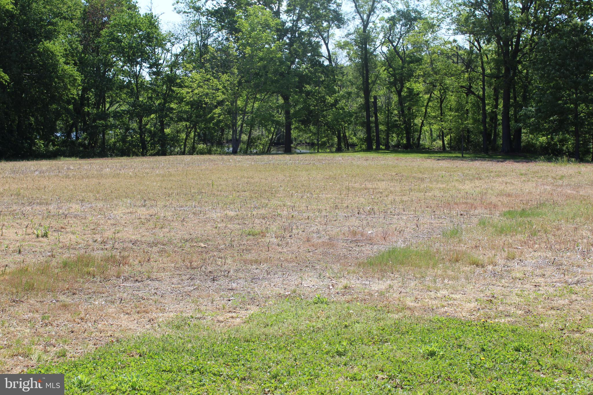 Height Road Cambridge, MD 21613 - Photo 10 of 12 Gallery Image 10