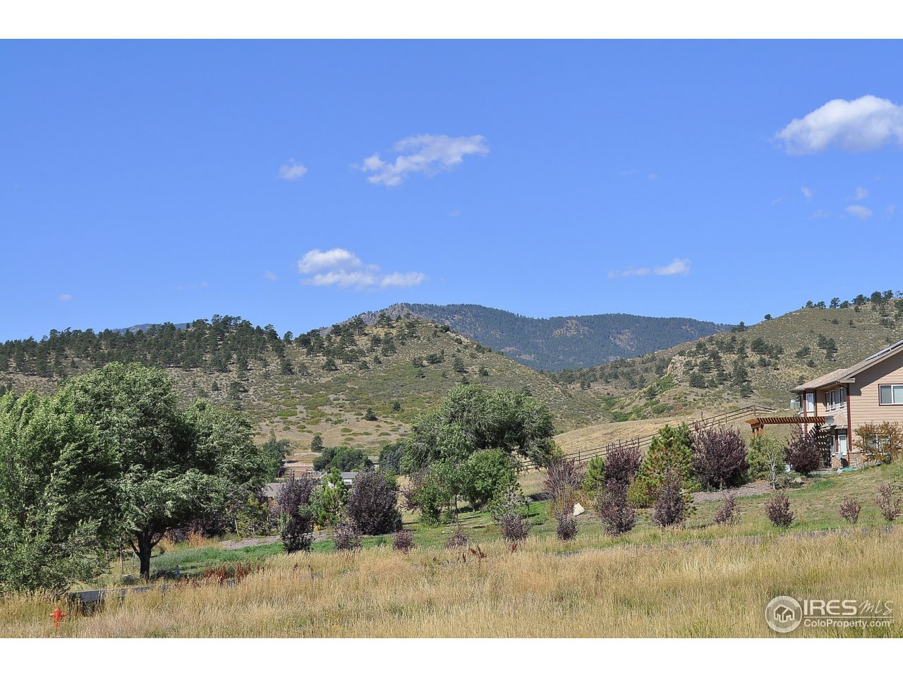 3338 Wildes Road Loveland, CO 80538 - Photo 3 of 7