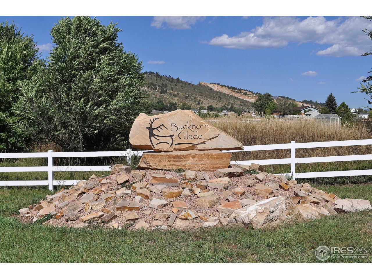 3338 Wildes Road Loveland, CO 80538 - Photo 7 of 7