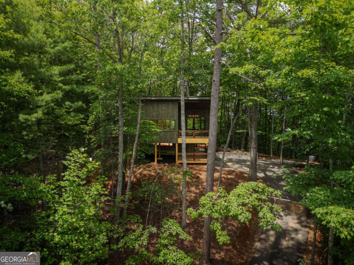 190 Laurel Crossing, Unit 71 Blue Ridge, GA 30513 - Photo 27 of 32