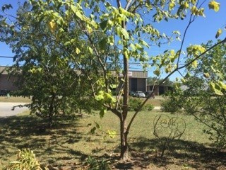 8360 Grace Road Macon, GA 31216 - Photo 2 of 11 Additional Photo