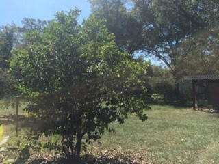 8360 Grace Road Macon, GA 31216 - Photo 3 of 11 Additional Photo