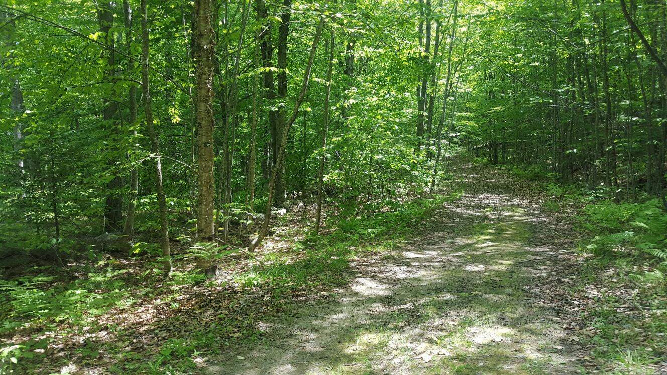 64 Pine Tree Road Waterford, ME 04088 - Photo 15 of 17 tingleyroad