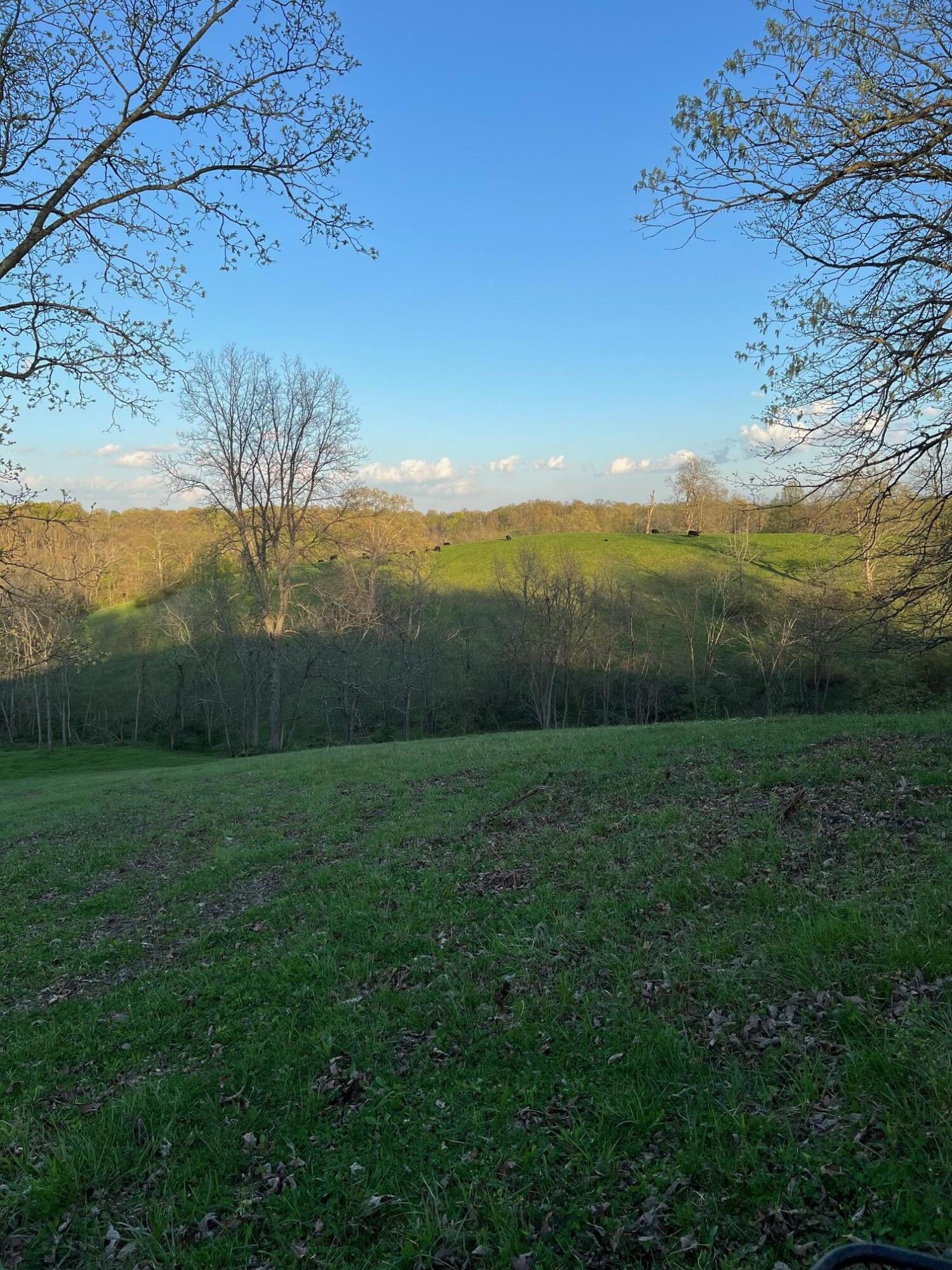 1822 Locust Fork Road Stamping Ground, KY 40379 - Photo 45 of 56 IMG_5985 (1)