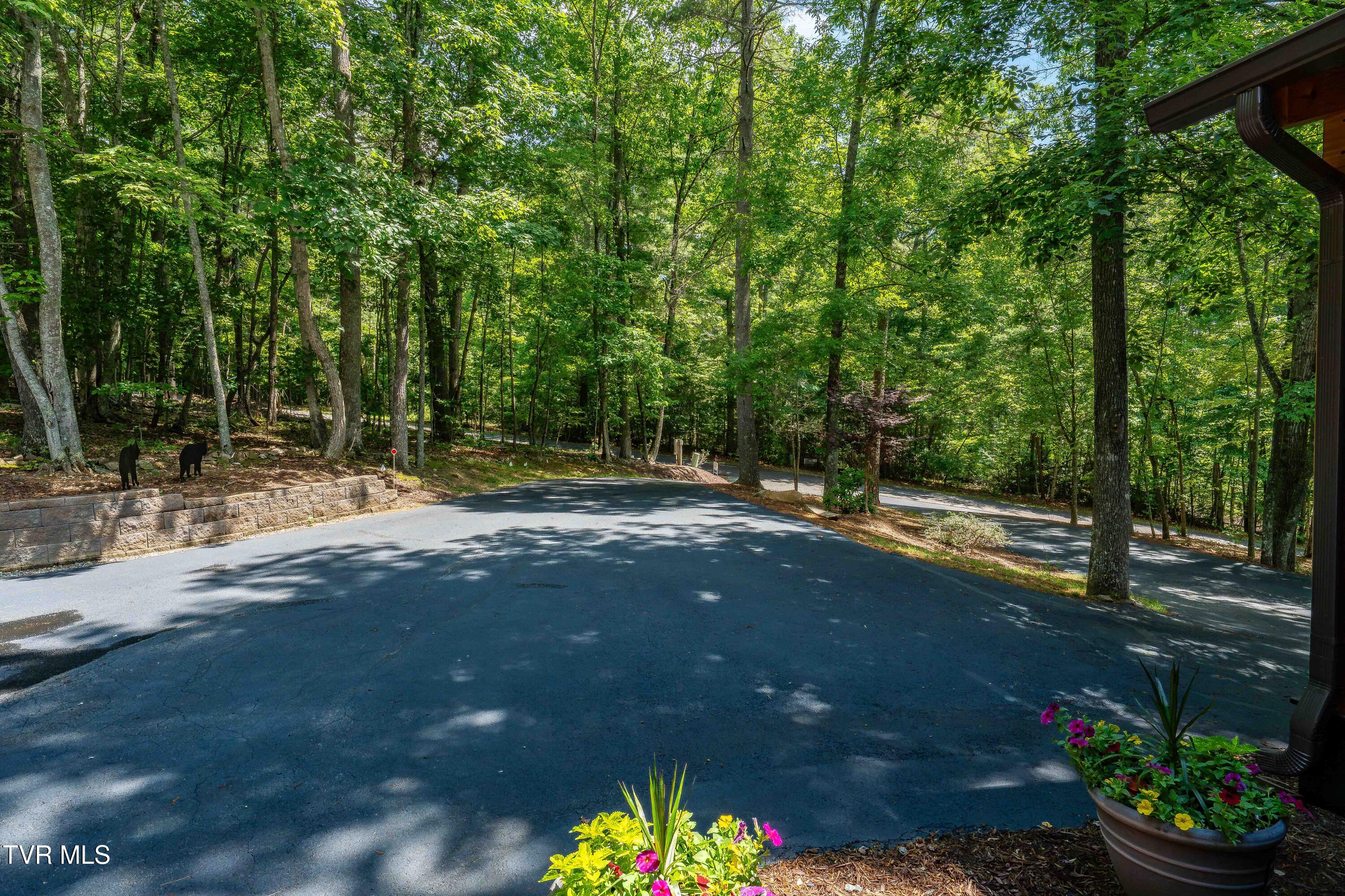 191 Bear Ridge Drive Butler, TN 37640 - Photo 51 of 80 191 Bear Ridge Dr (12 of 80)