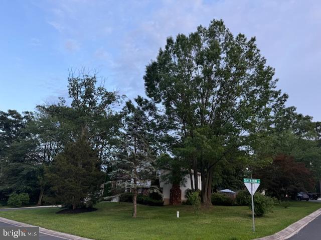 1247 Silver Run Drive Pasadena, MD 21122 - Photo 56 of 100 Capturing the Corner