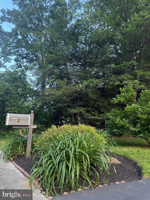 1247 Silver Run Drive Pasadena, MD 21122 - Photo 62 of 100 Mailbox