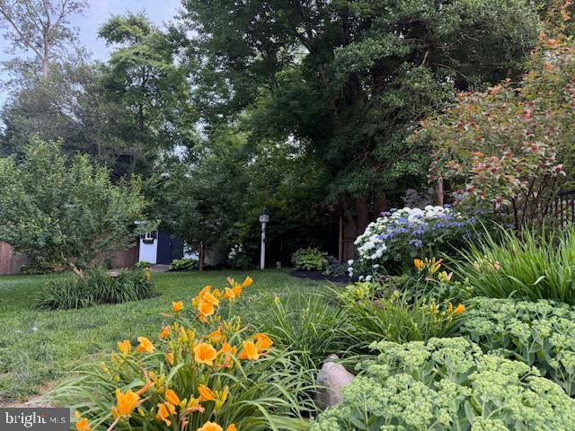 1247 Silver Run Drive Pasadena, MD 21122 - Photo 68 of 100 Luscious Gardens Abound