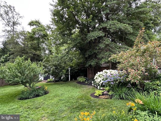 1247 Silver Run Drive Pasadena, MD 21122 - Photo 69 of 100 Plum and nectarine Fruit Trees