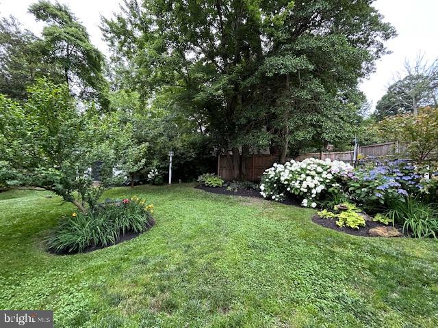 1247 Silver Run Drive Pasadena, MD 21122 - Photo 75 of 100 Crape Myrtle Tree