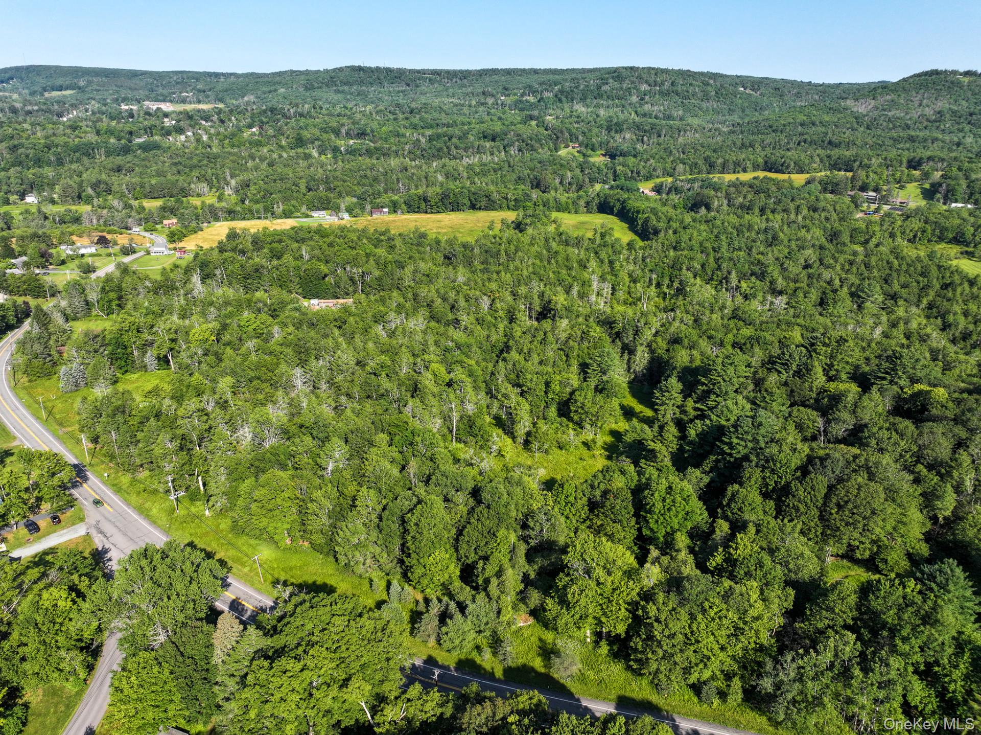 Lot 3 Neversink Road Liberty, NY 12754 - Photo 8 of 12