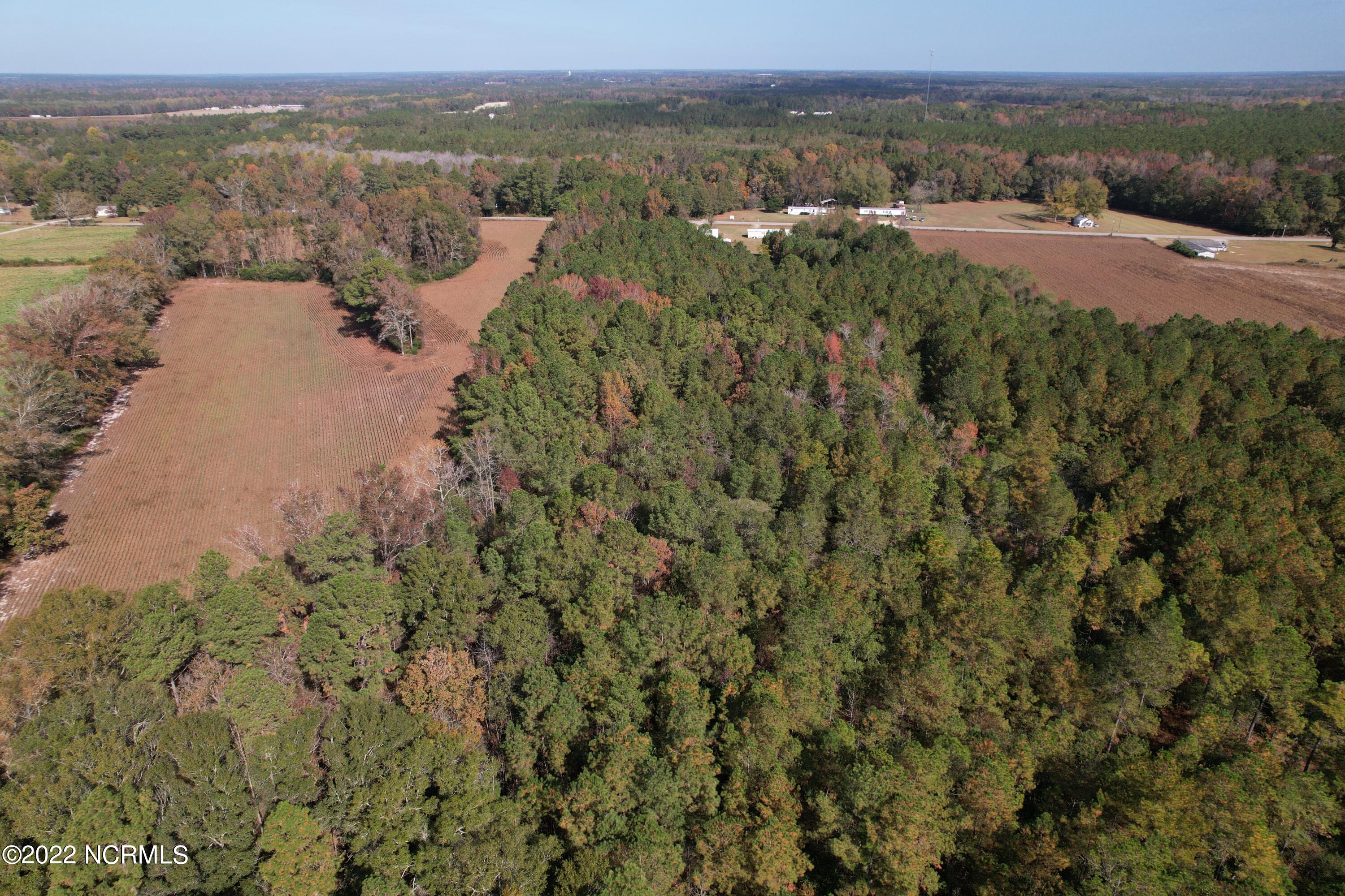 Off Harrells Highway Garland, NC 28441 - Photo 11 of 19 Image 11