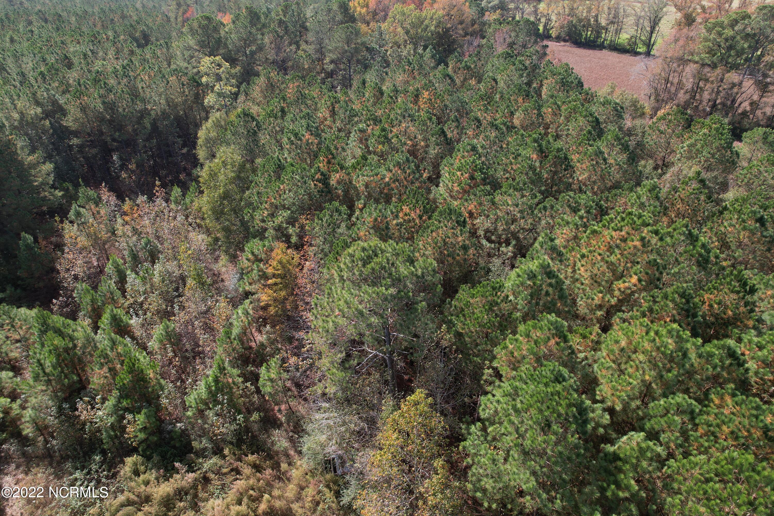 Off Harrells Highway Garland, NC 28441 - Photo 12 of 19 Image 12