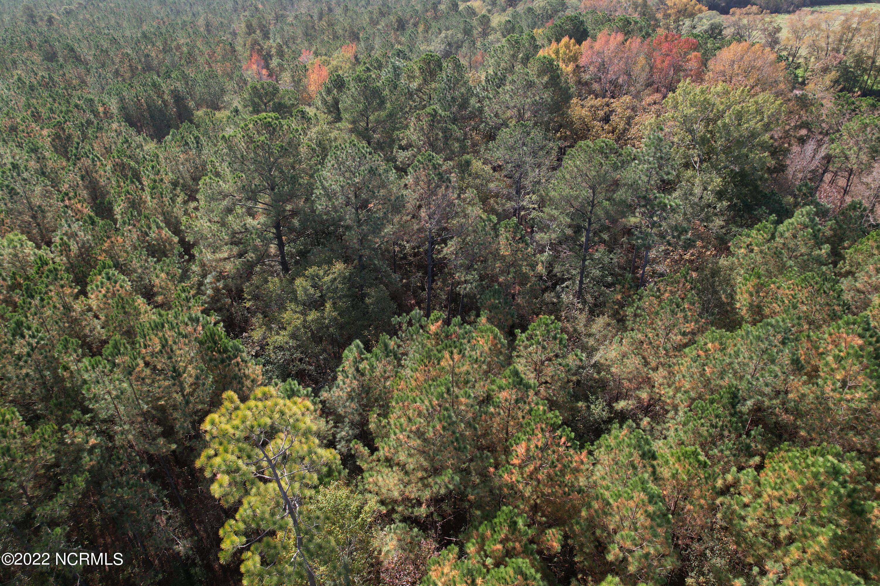 Off Harrells Highway Garland, NC 28441 - Photo 13 of 19 Image 13