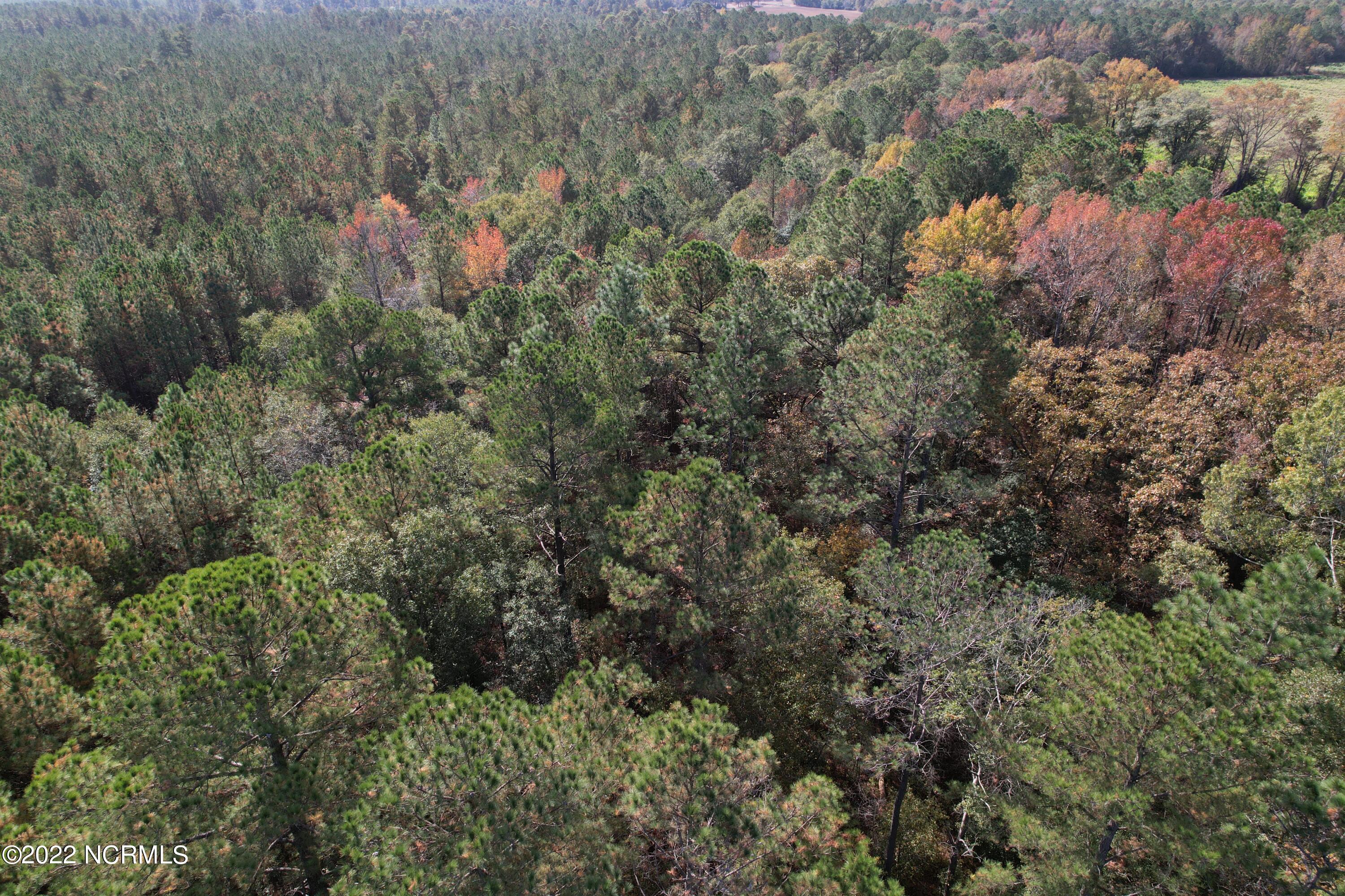 Off Harrells Highway Garland, NC 28441 - Photo 14 of 19 Image 14