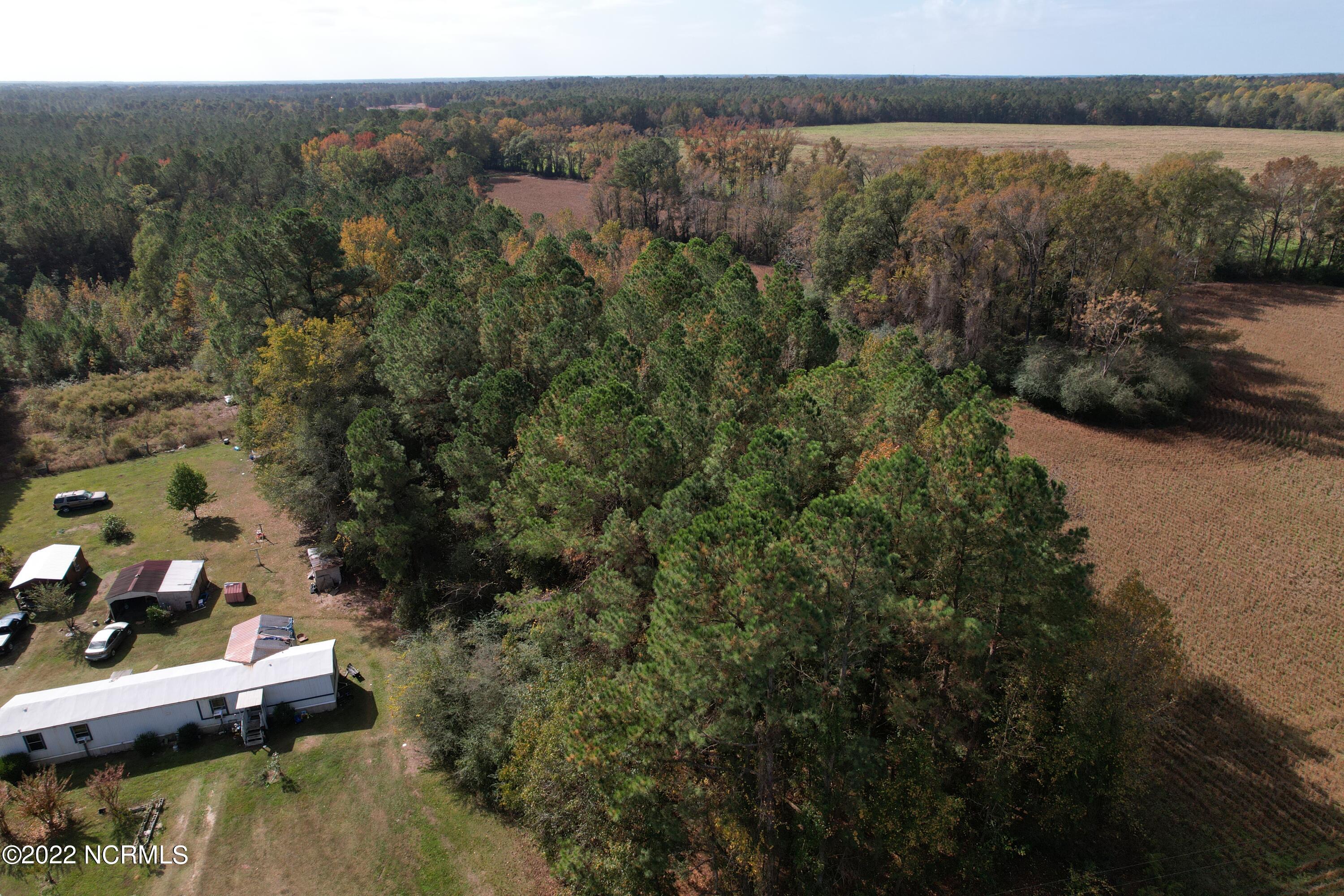 Off Harrells Highway Garland, NC 28441 - Photo 16 of 19 Image 16