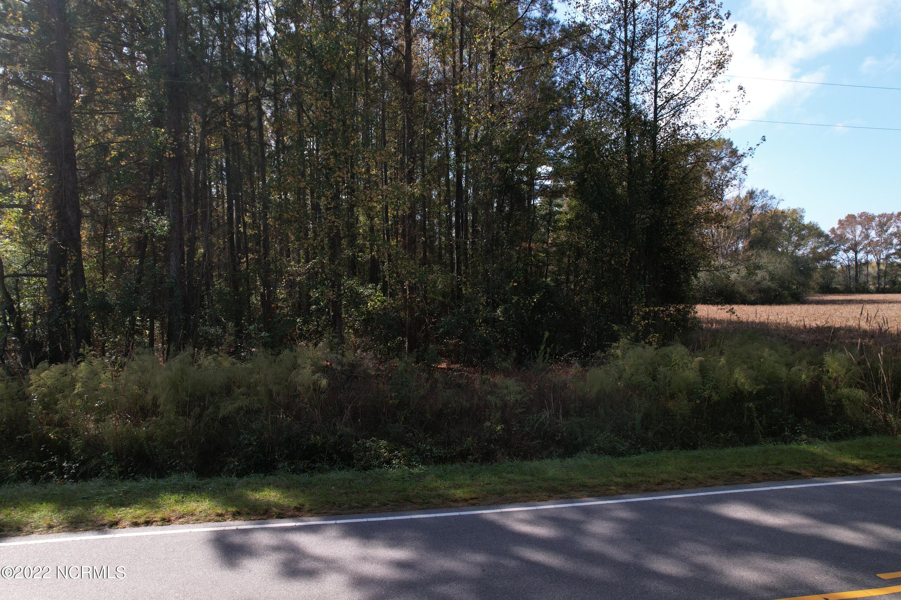 Off Harrells Highway Garland, NC 28441 - Photo 17 of 19 Image 17