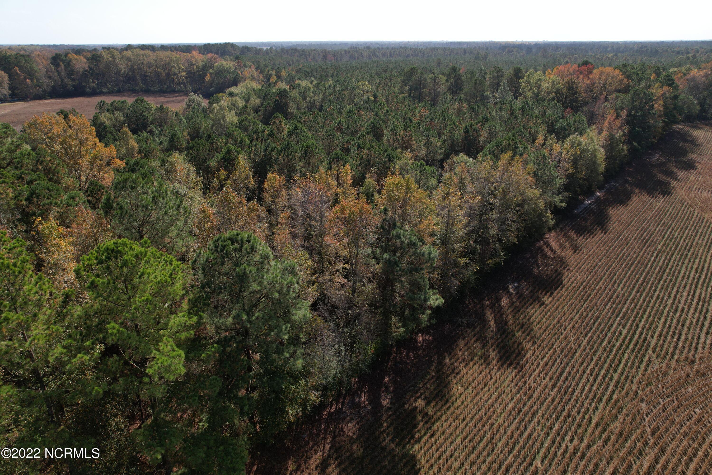 Off Harrells Highway Garland, NC 28441 - Photo 2 of 19 Image 2