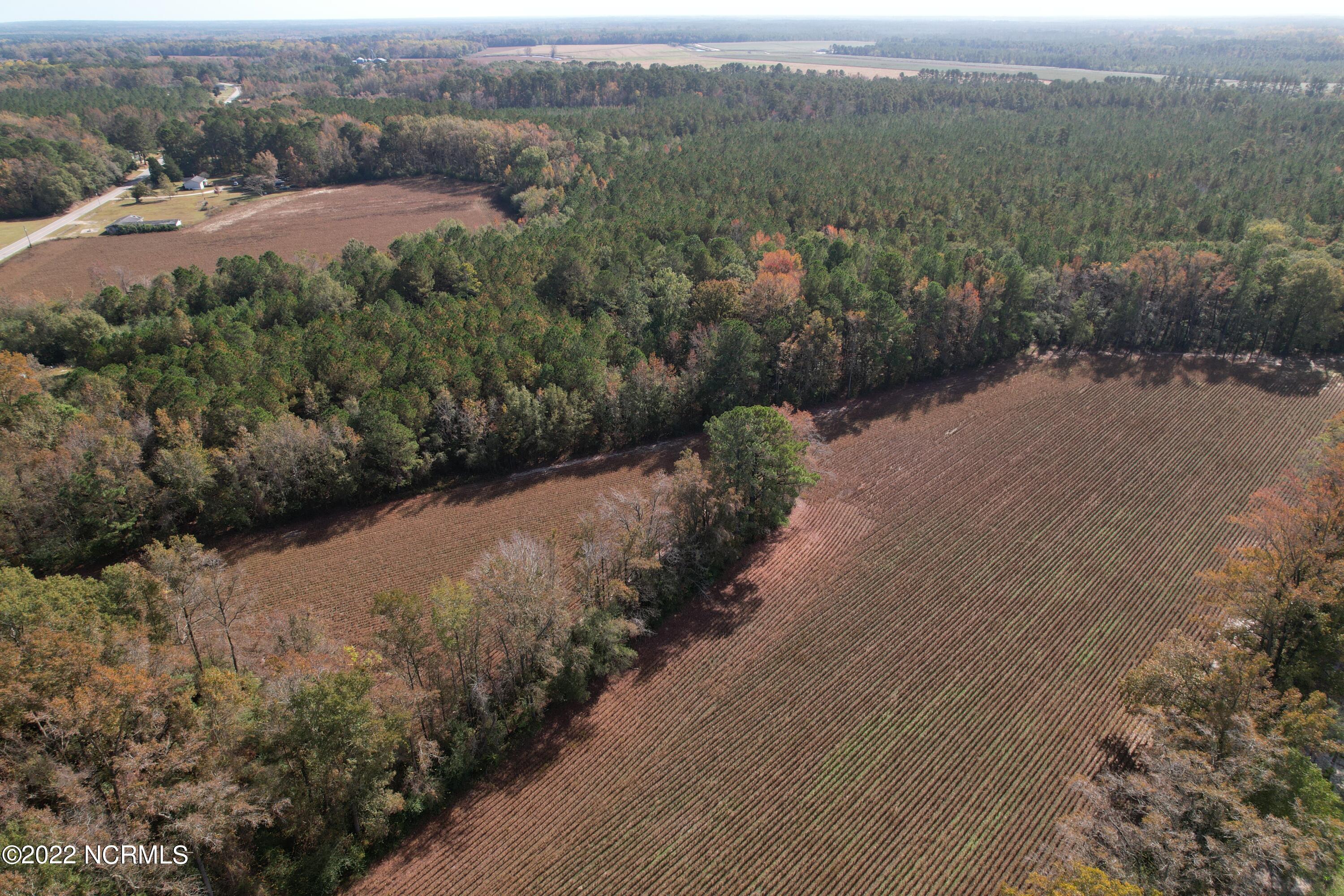 Off Harrells Highway Garland, NC 28441 - Photo 3 of 19 Image 3