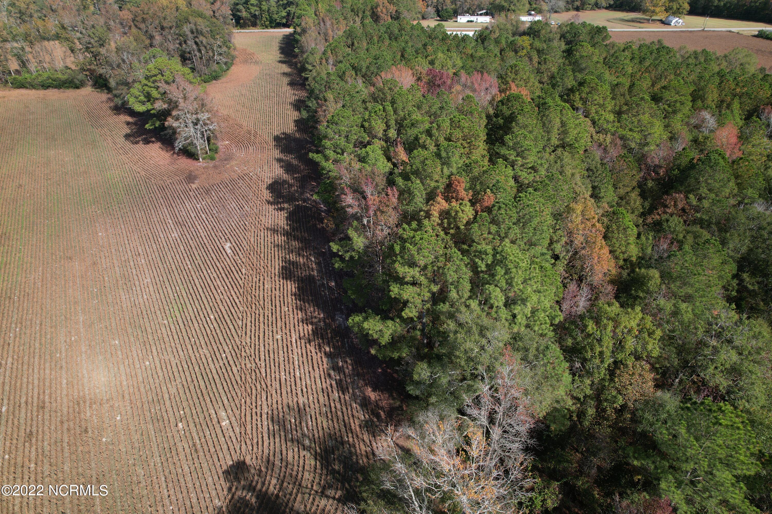 Off Harrells Highway Garland, NC 28441 - Photo 5 of 19 Image 5