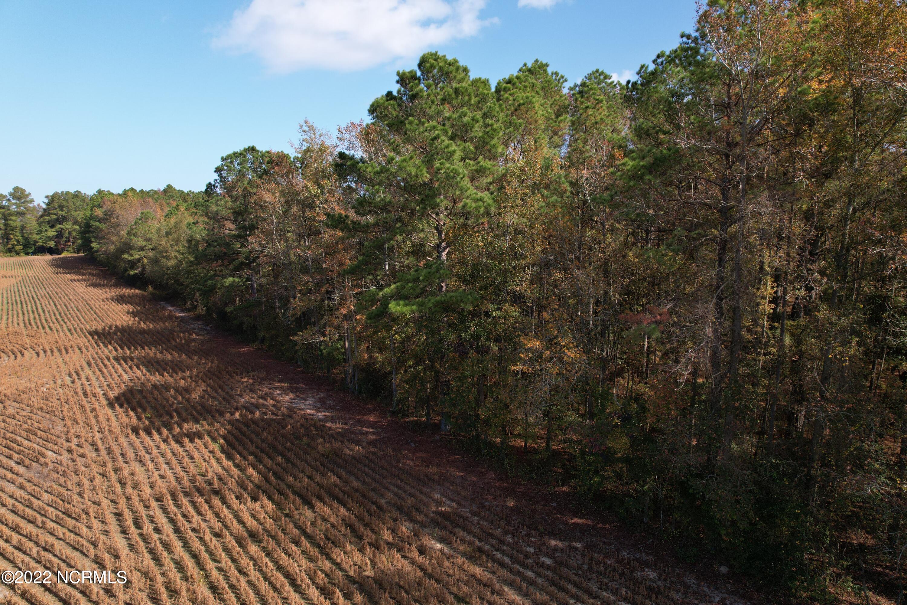 Off Harrells Highway Garland, NC 28441 - Photo 6 of 19 Image 6
