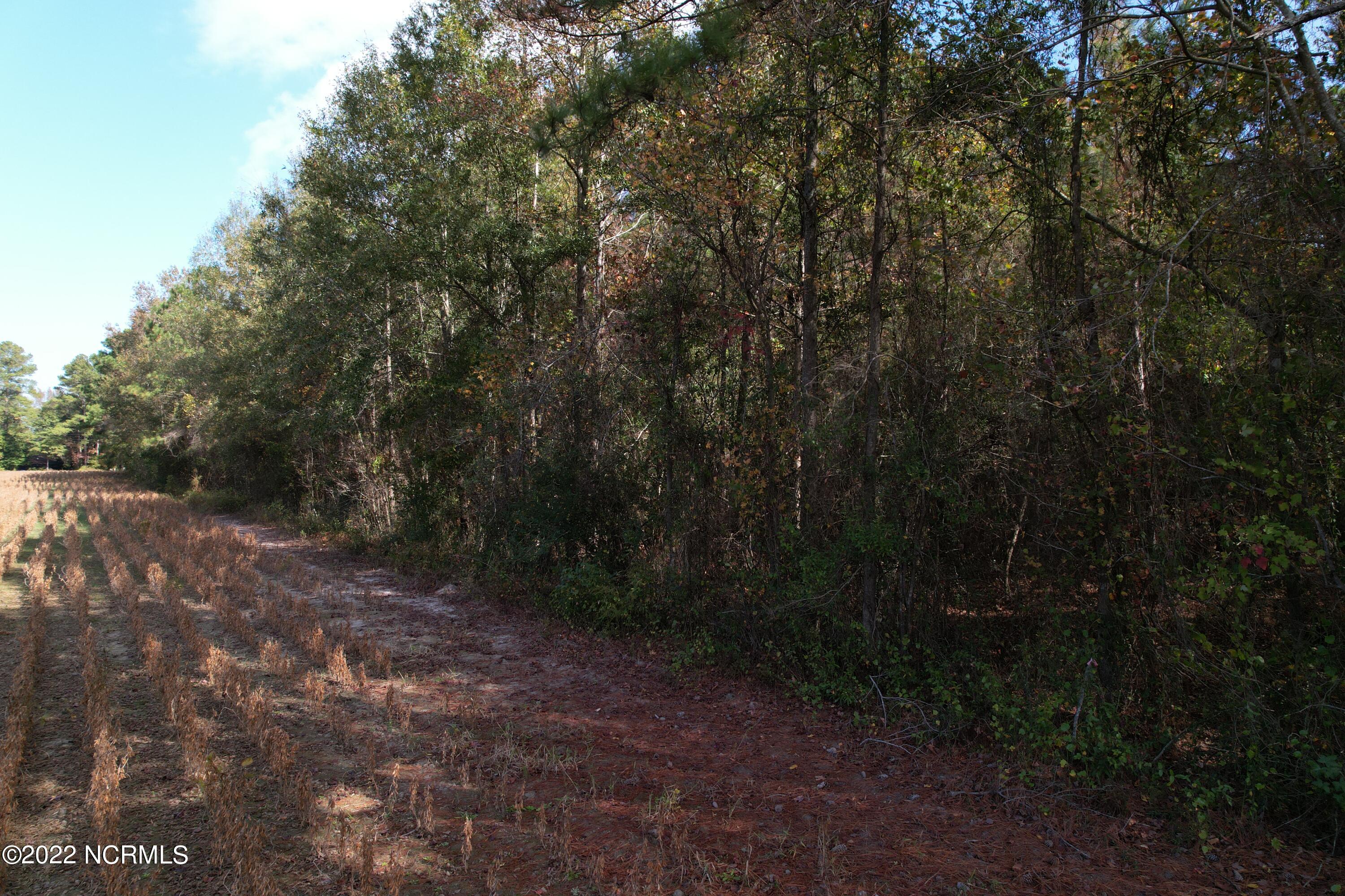 Off Harrells Highway Garland, NC 28441 - Photo 7 of 19 Image 7