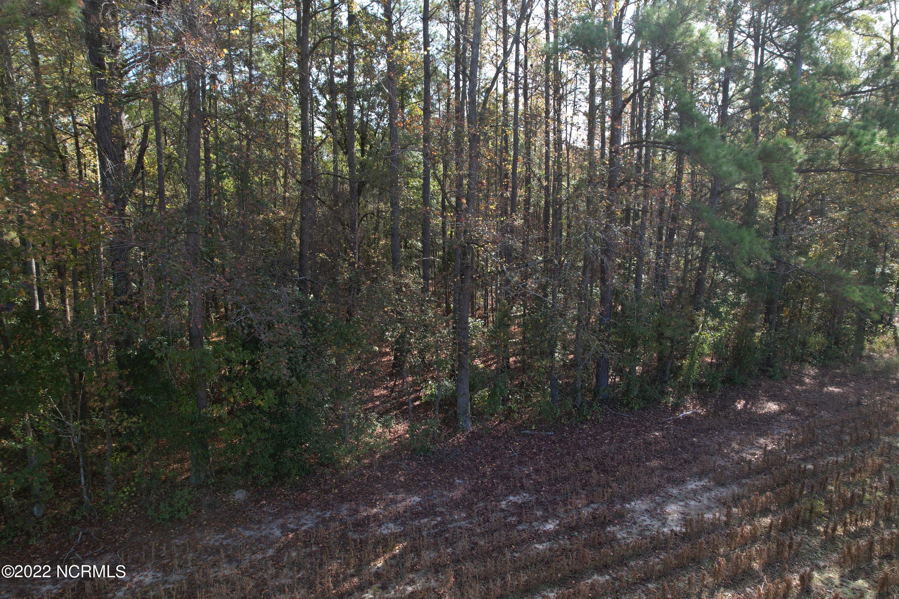 Off Harrells Highway Garland, NC 28441 - Photo 8 of 19 Image 8
