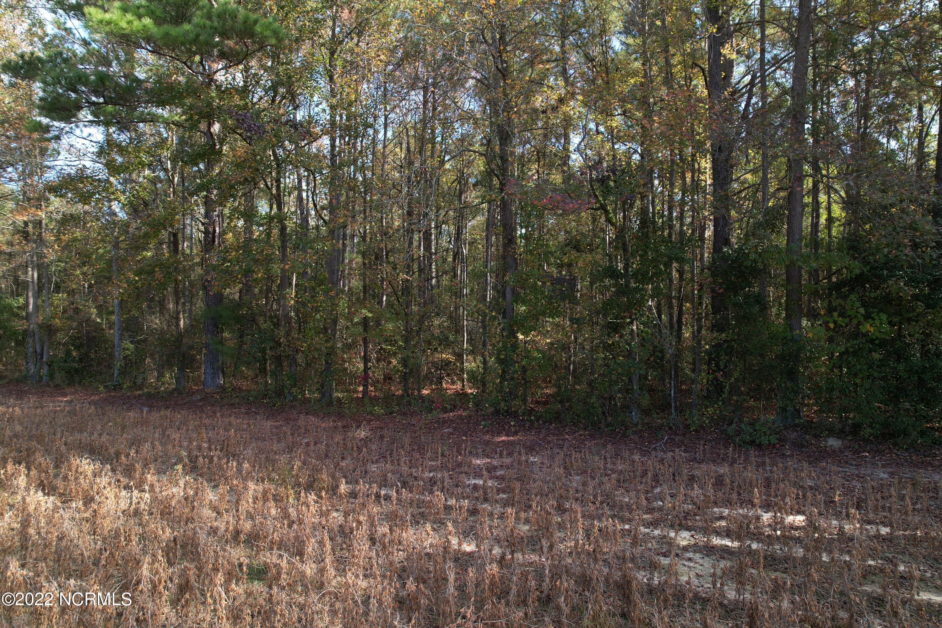 Off Harrells Highway Garland, NC 28441 - Photo 9 of 19 Image 9