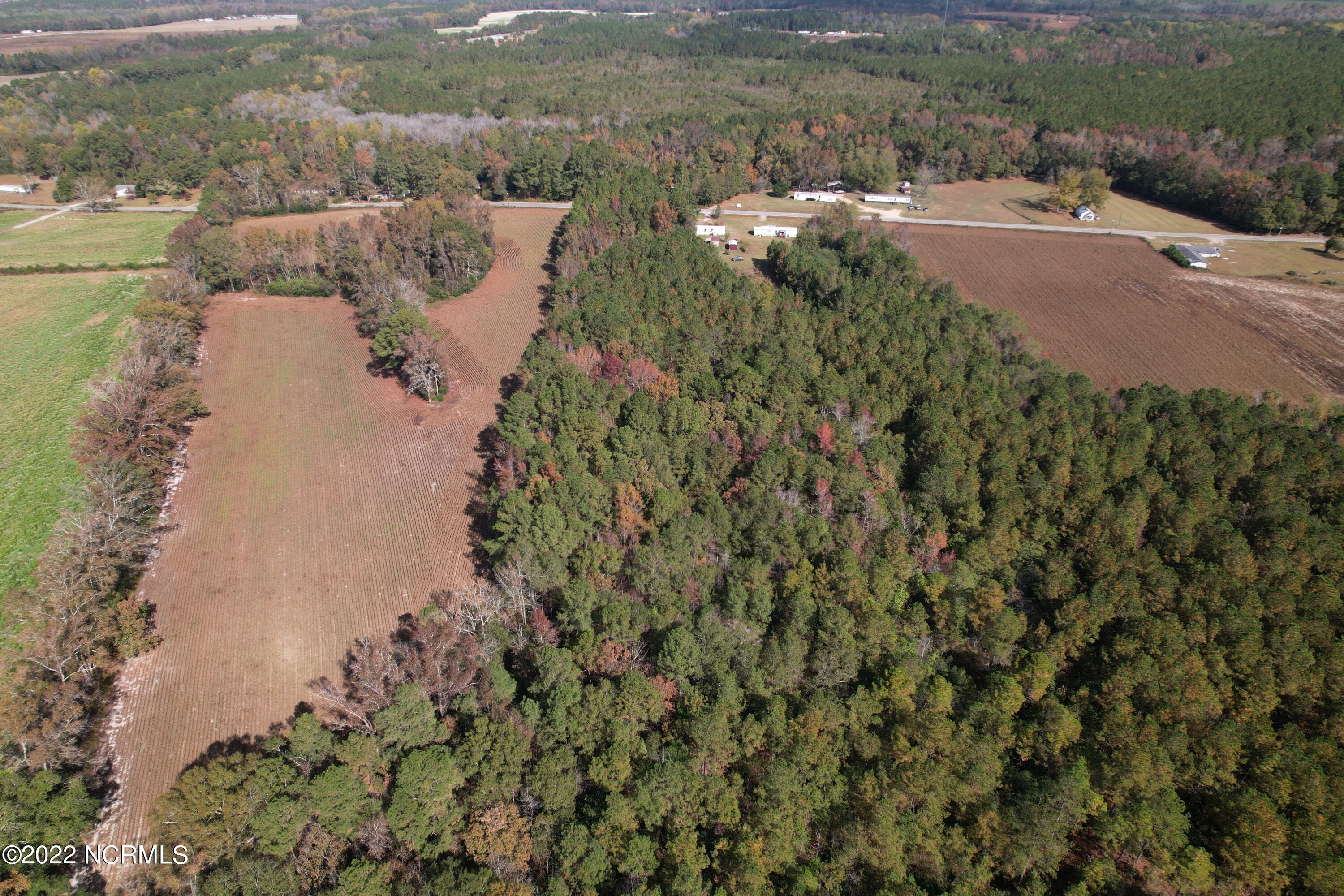 Off Harrells Highway Garland, NC 28441 - Photo 10 of 19 Image 10