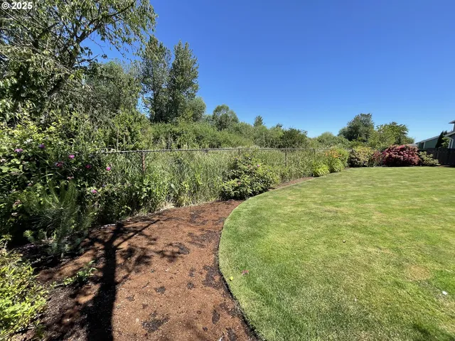 a view of a big yard with large trees