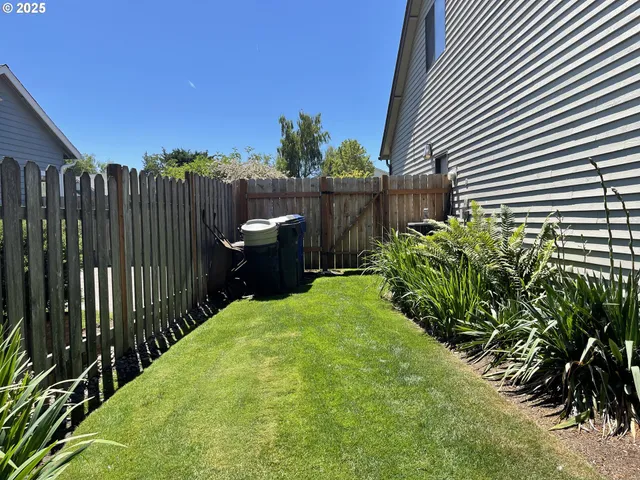 a view of a backyard with plants