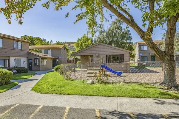 a park view with a fountain and a large tree