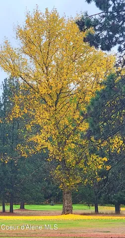 $599,000 | 301 Woodland Drive, Pinehurst, ID 83850