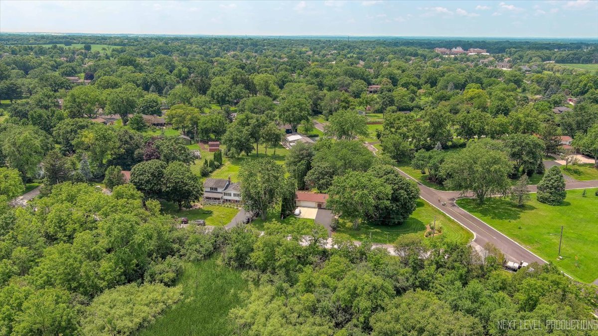4N636 Klein Road West Chicago, IL 60185 - Photo 28 of 36 a view of a lush green forest with a sink and trees