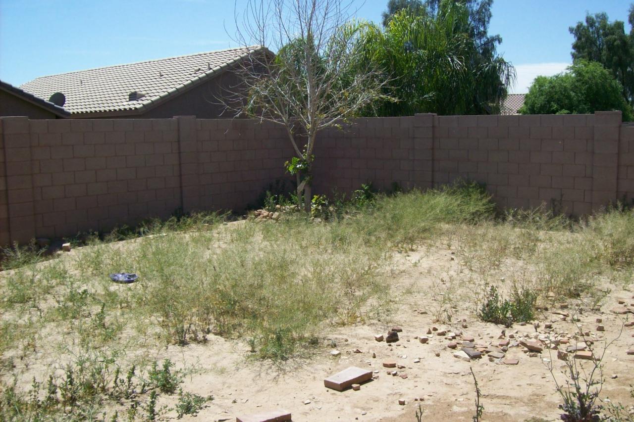 10629 West Alvarado Road Avondale, AZ 85392 - Photo 8 of 10 Big Yard