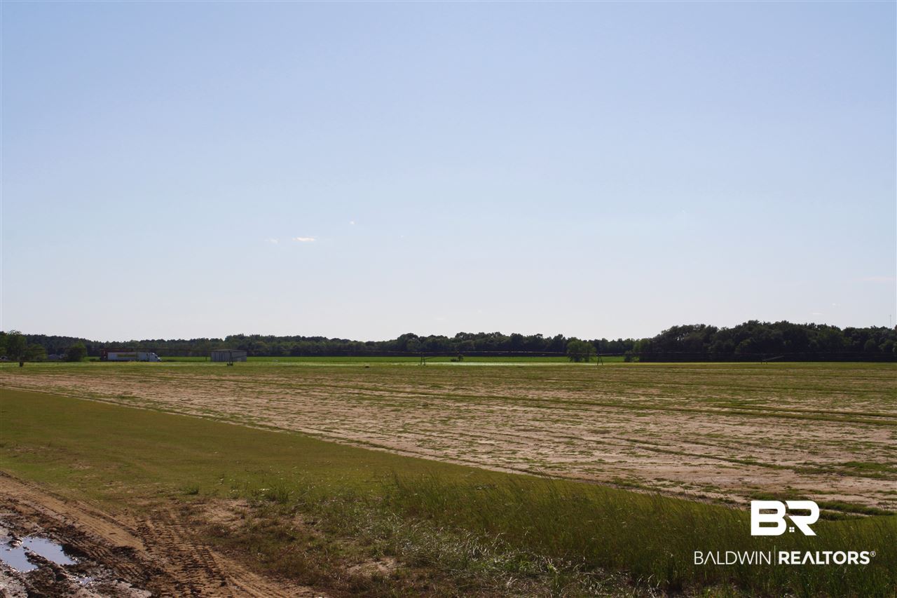 0 Vernant Park Road Foley, AL 36535 - Photo 16 of 20