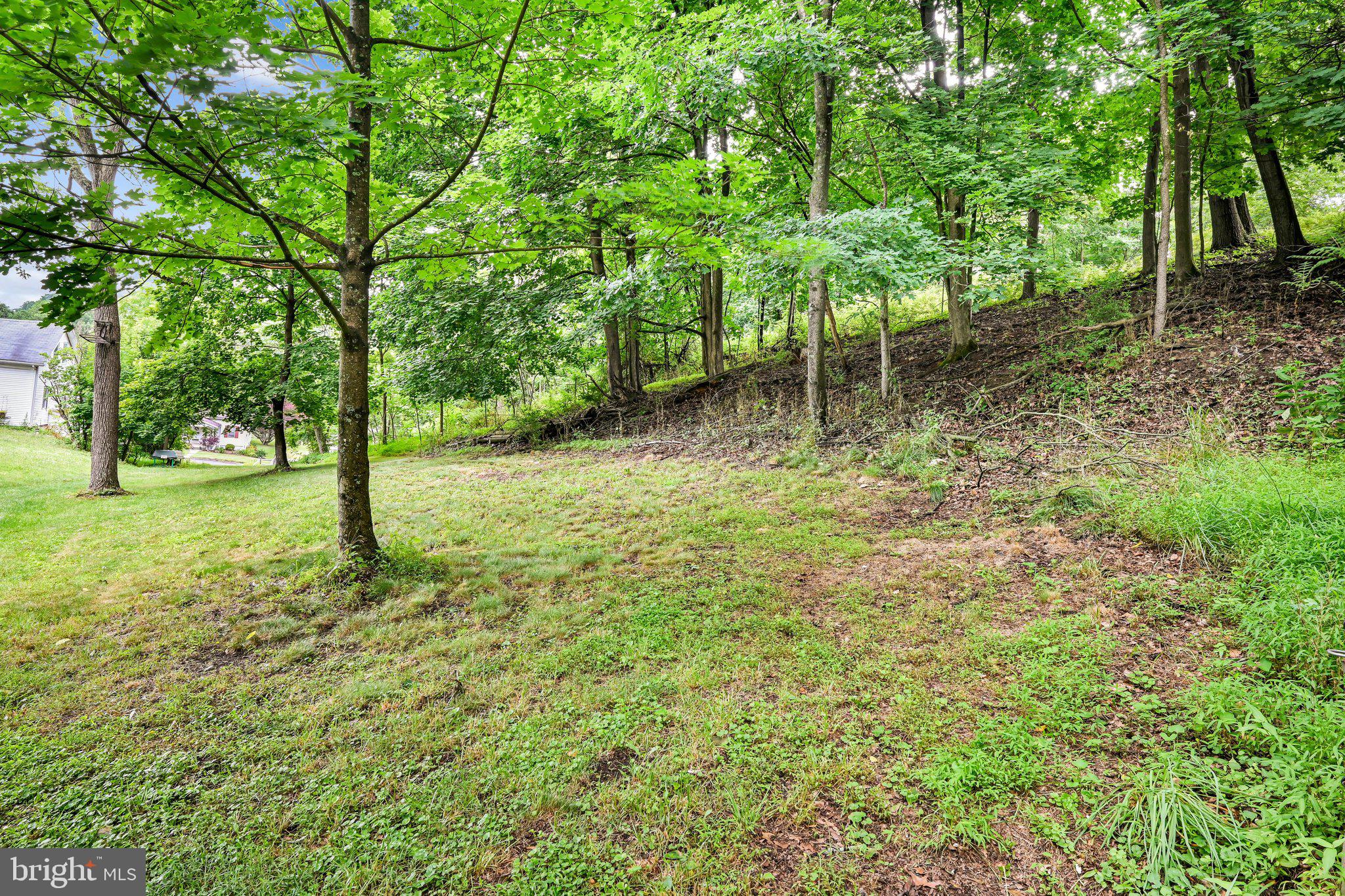 15 Rock Road Pine Grove, PA 17963 - Photo 40 of 57 Backyard