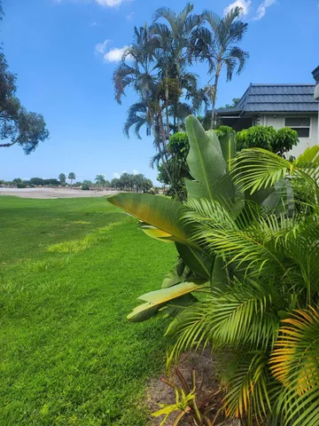 a view of a plant in a garden