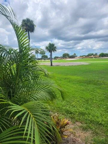 a view of a big yard with potted plants and large trees