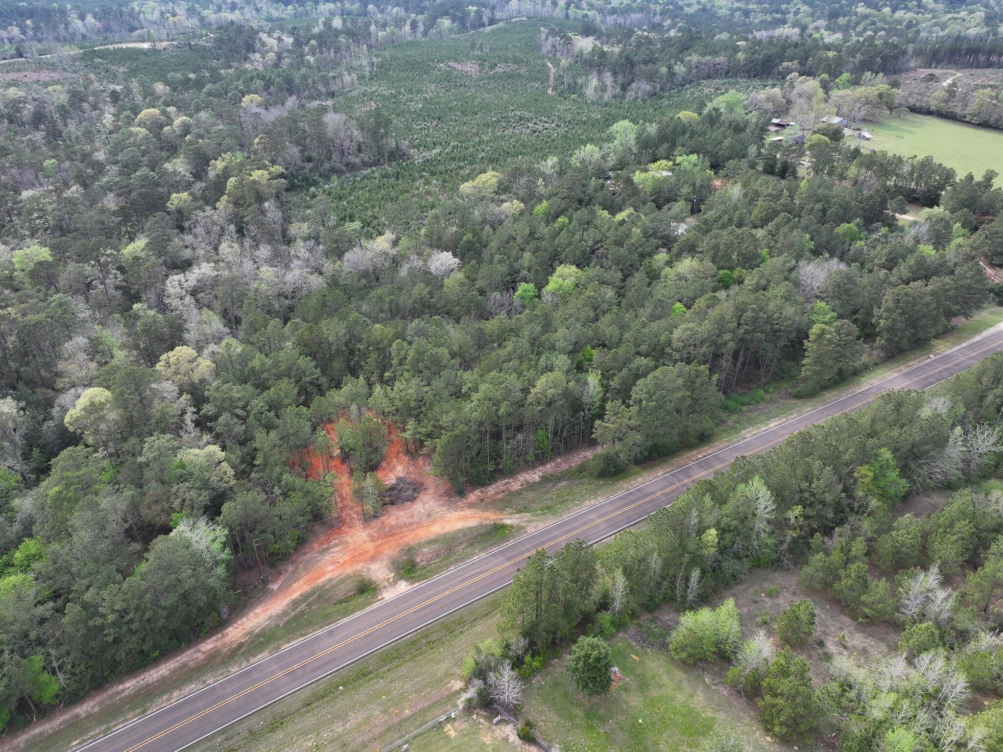 0 Fm-252 Jasper, TX 75951 - Photo 11 of 22 a view of a yard with a tree